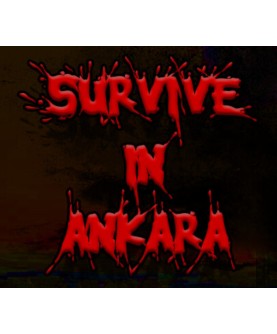 Survive in Ankara Steam Key GLOBAL